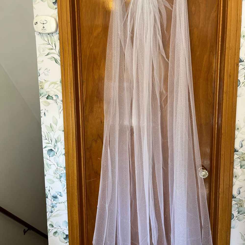 Sheer Sparkle Tulle Hair Veil - White
